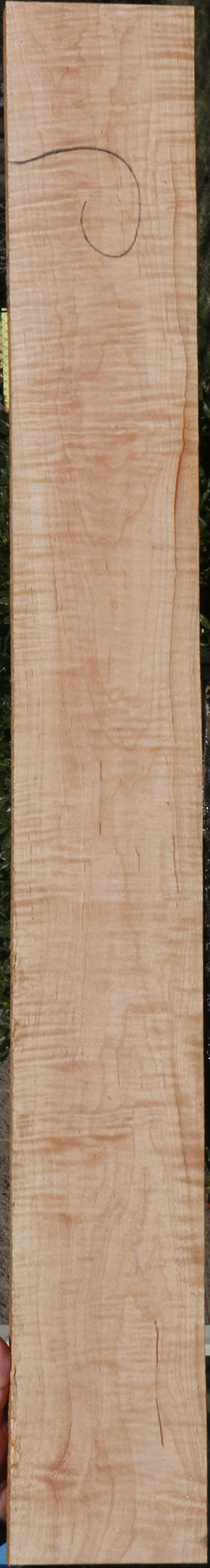 Extra Fancy Curly Eastern Maple Lumber