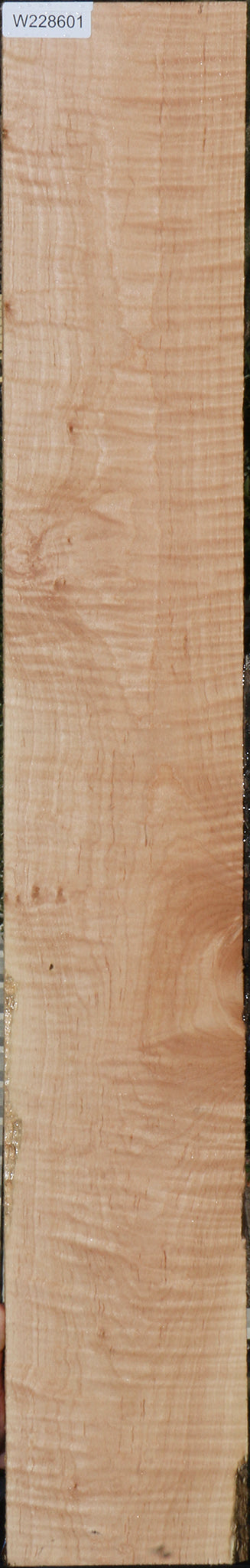 Curly Eastern Maple Lumber