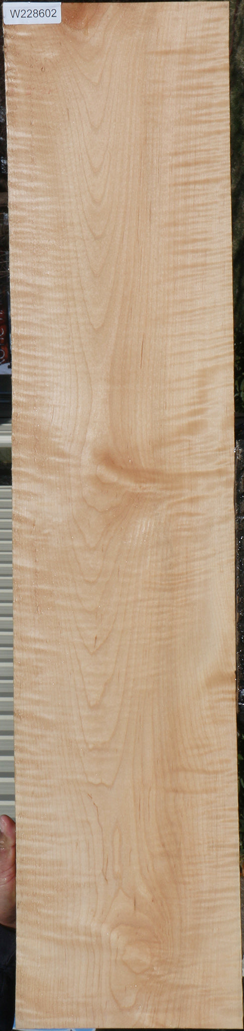 Extra Fancy Curly Eastern Maple Lumber