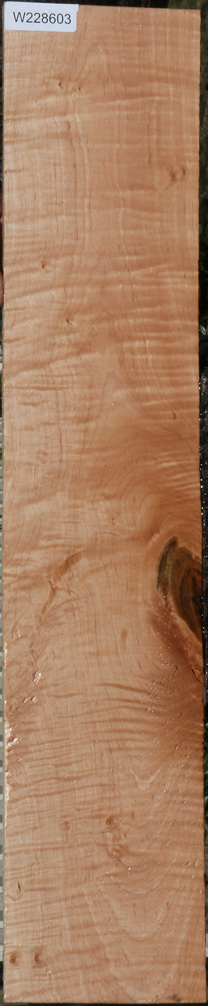 Extra Fancy Curly Eastern Maple Lumber