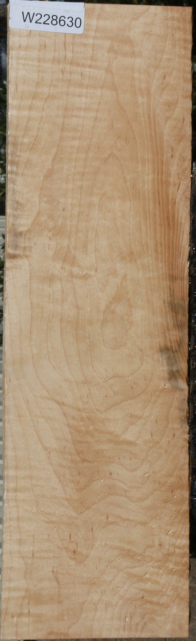Curly Eastern Maple Lumber