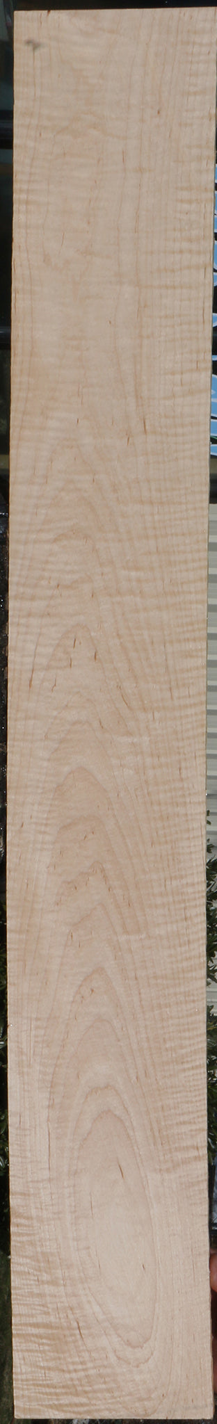 Extra Fancy Curly Eastern Maple Lumber