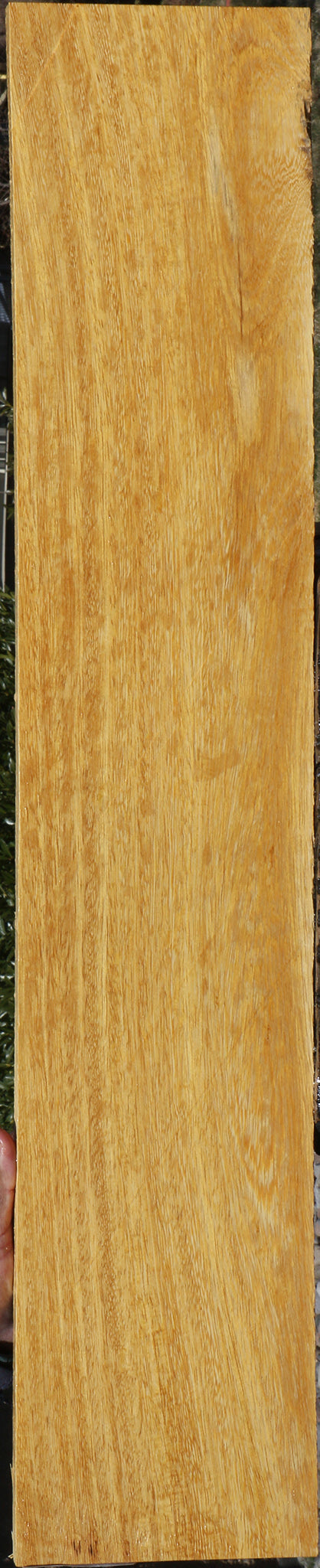 White Wenge Micro Lumber