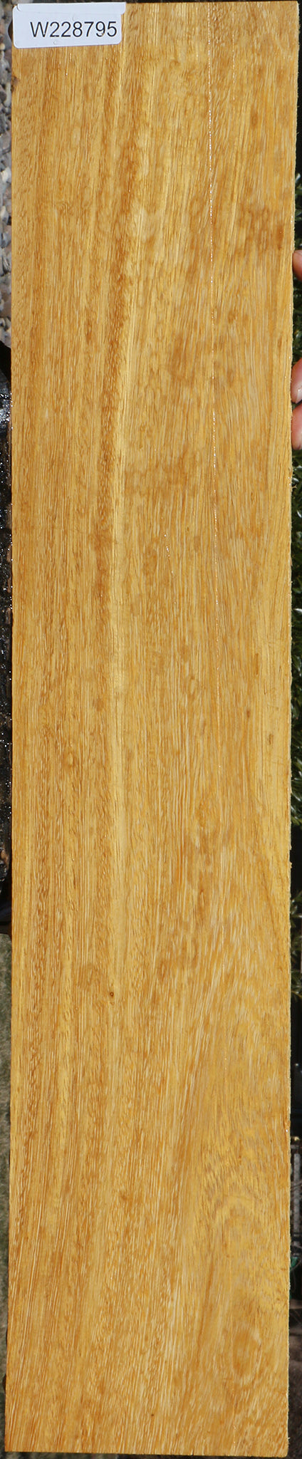 White Wenge Micro Lumber