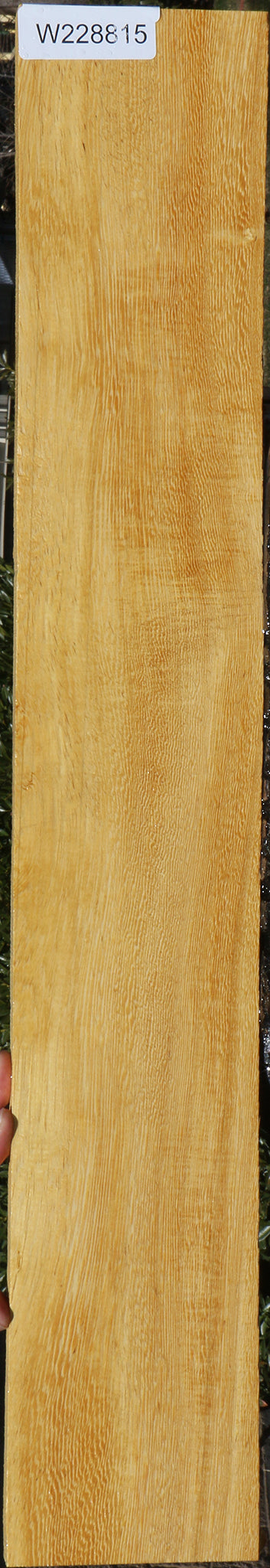 White Wenge Lumber