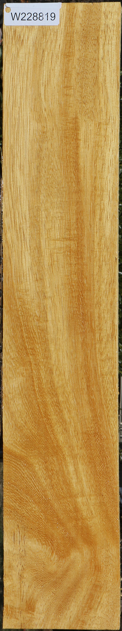White Wenge Lumber