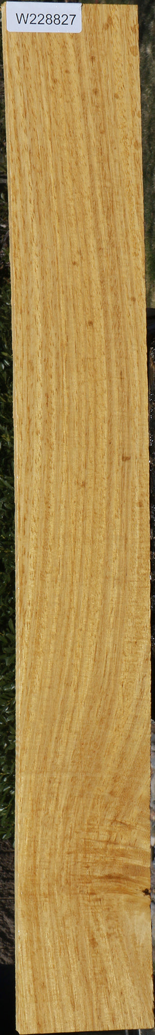 Figured White Wenge Lumber
