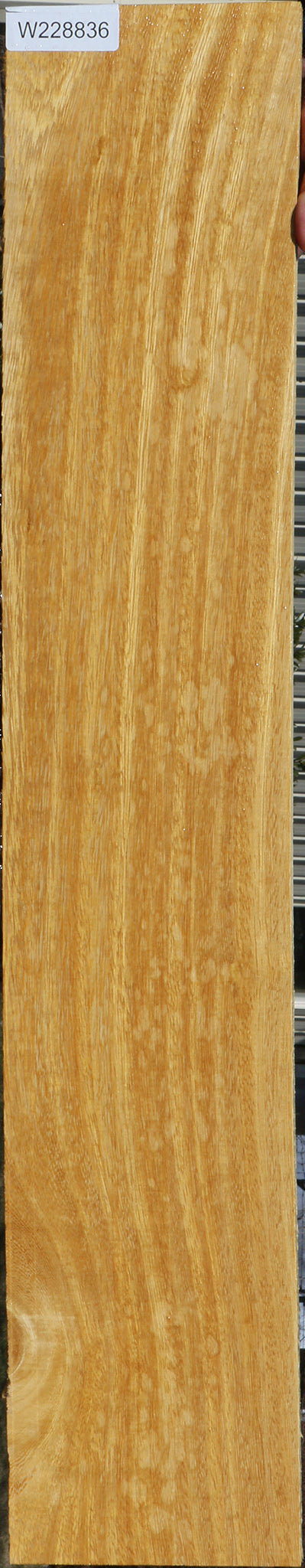 Figured White Wenge Lumber