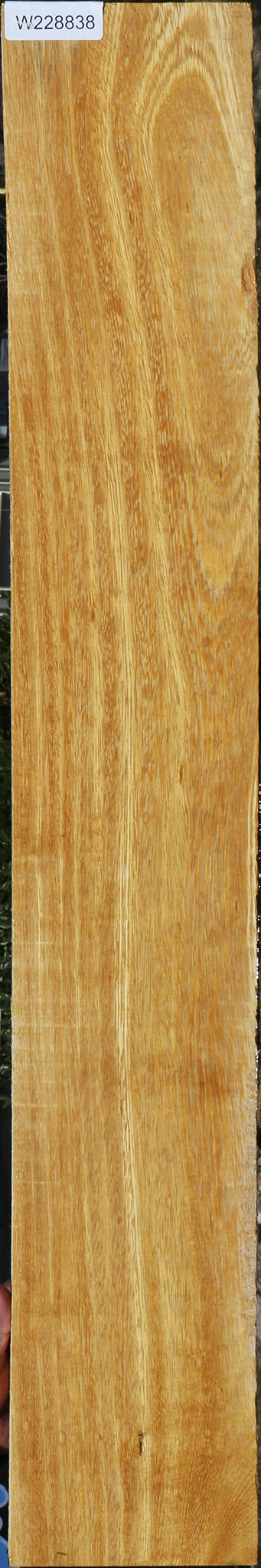 White Wenge Lumber