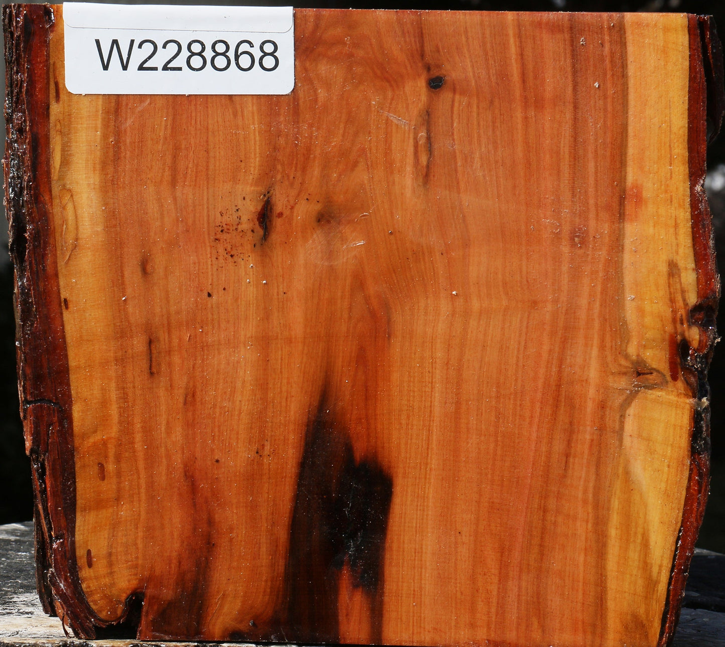 Oregon Ironwood Live Edge Bowl Blank