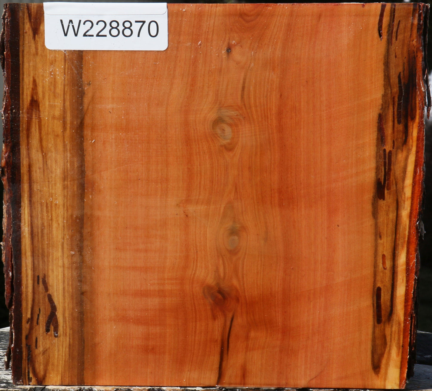 Oregon Ironwood Live Edge Bowl Blank