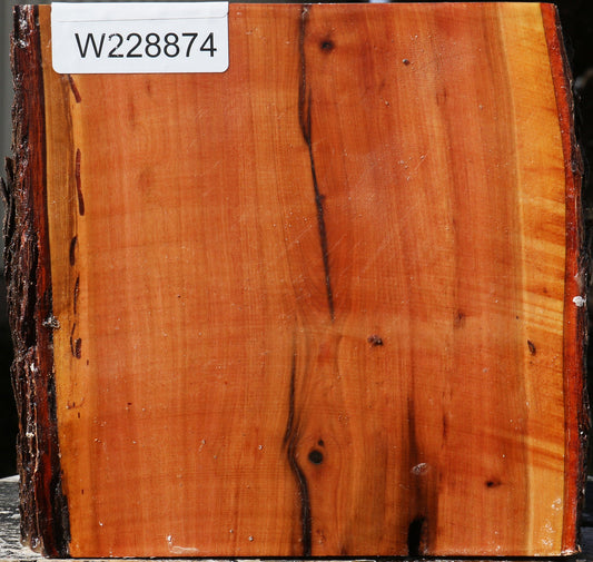 Oregon Ironwood Live Edge Bowl Blank