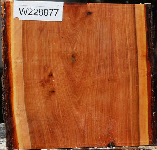 Oregon Ironwood Live Edge Bowl Blank