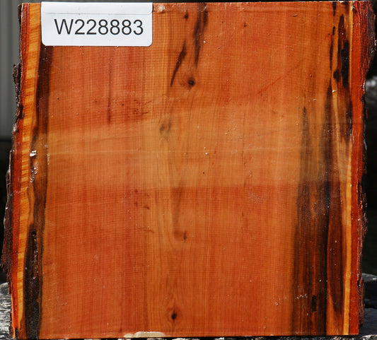 Oregon Ironwood Live Edge Bowl Blank