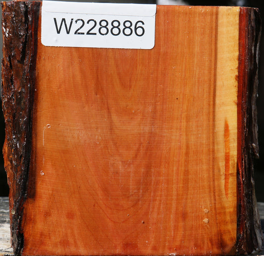 Oregon Ironwood Live Edge Bowl Blank