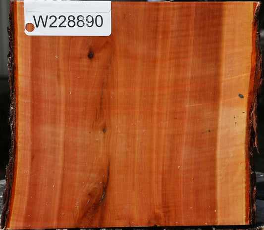 Oregon Ironwood Live Edge Bowl Blank