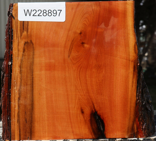 Oregon Ironwood Live Edge Bowl Blank