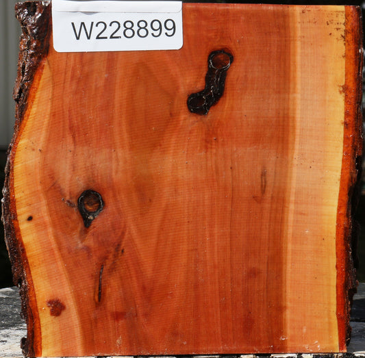 Oregon Ironwood Live Edge Bowl Blank