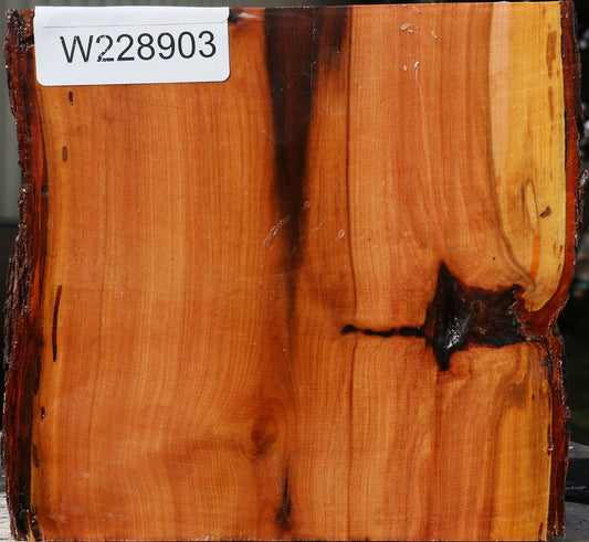 Oregon Ironwood Live Edge Bowl Blank