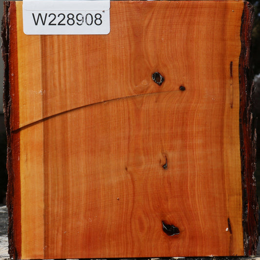 Oregon Ironwood Live Edge Bowl Blank