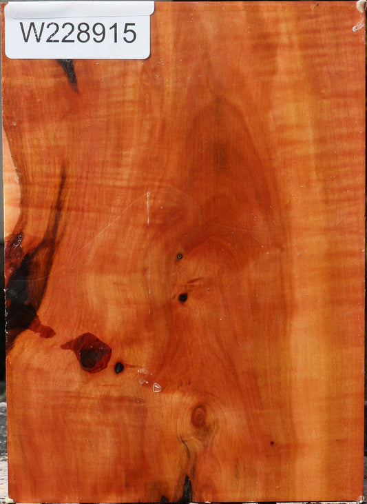 Oregon Ironwood Turning Blank