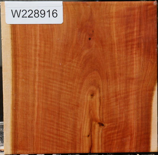 Oregon Ironwood Bowl Blank