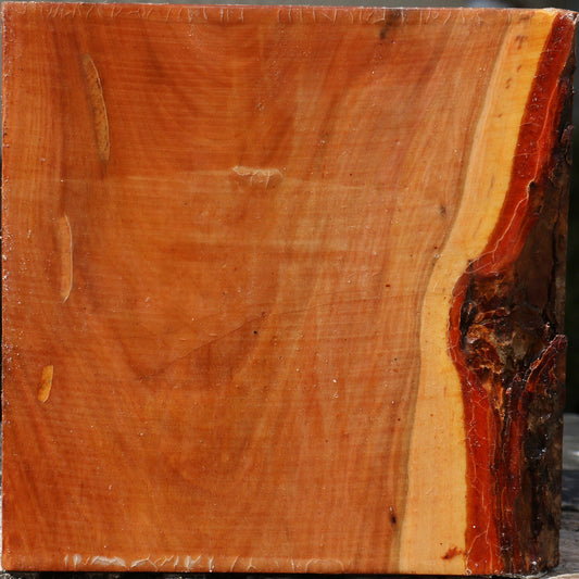 Oregon Ironwood Bowl Blank