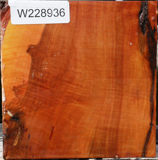 Oregon Ironwood Bowl Blank