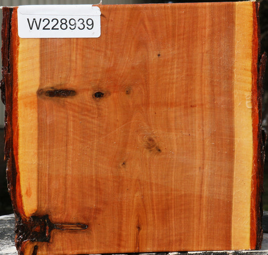 Oregon Ironwood Live Edge Bowl Blank