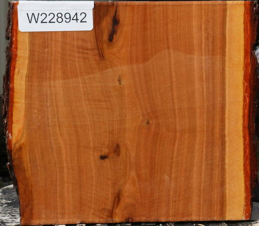 Oregon Ironwood Live Edge Bowl Blank