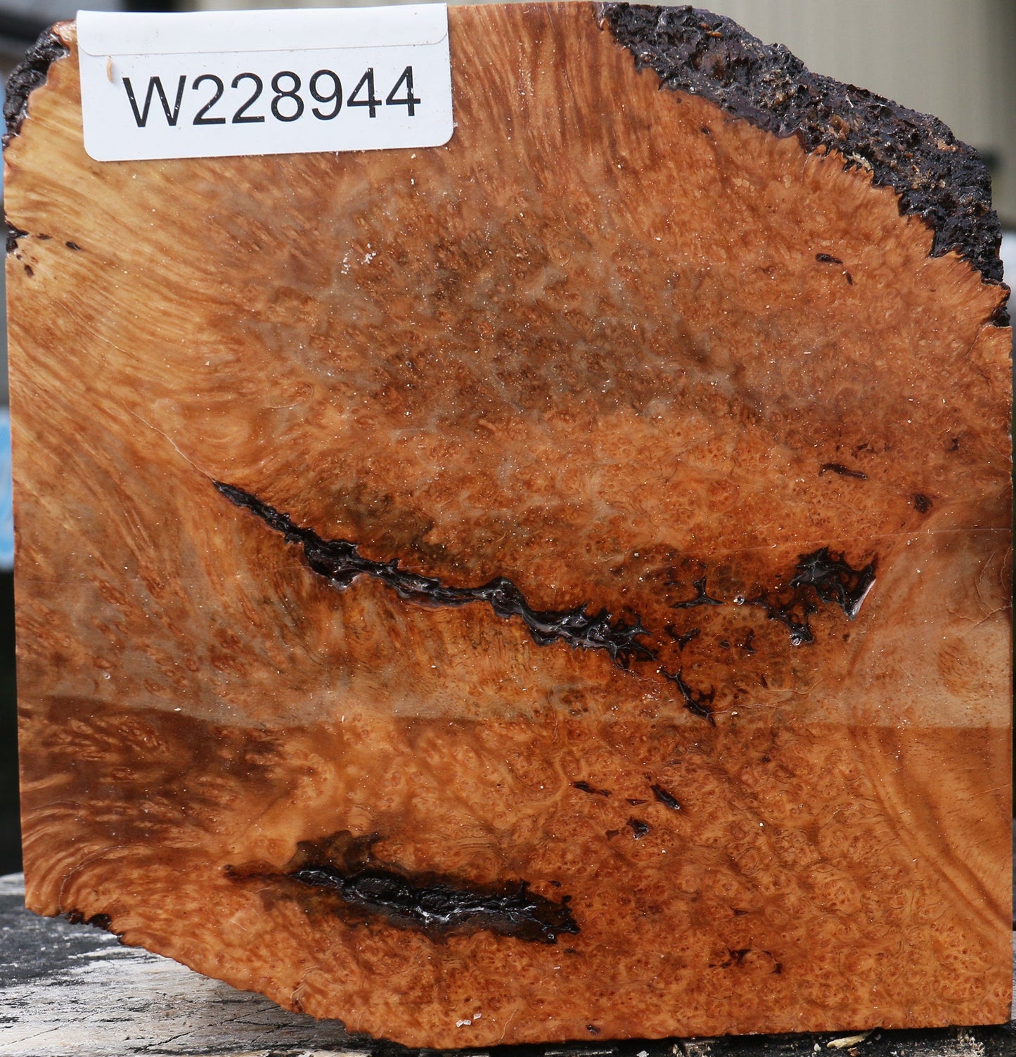 Kanista Burl Bowl Blank