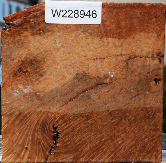 Kanista Burl Bowl Blank