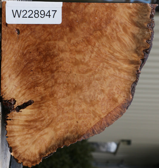 Kanista Burl Live Edge Bowl Blank