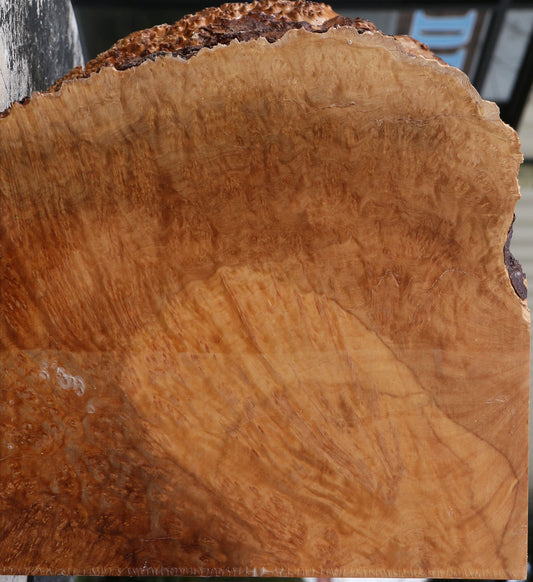 Kanista Burl Live Edge Bowl Blank