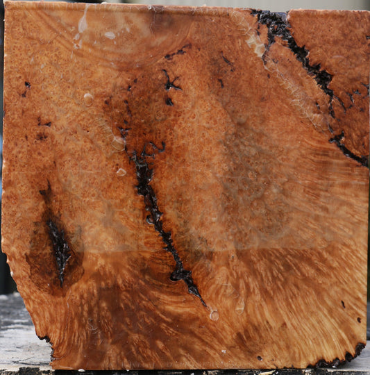 Kanista Burl Bowl Blank