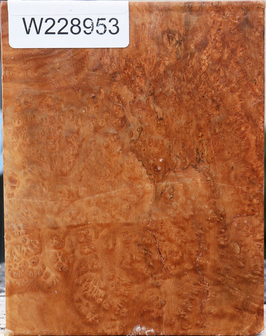 Kanista Burl Turning Blank