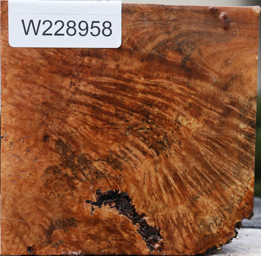 Kanista Burl Bowl Blank