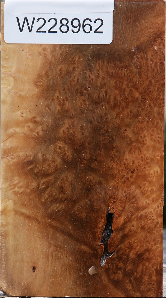 Kanista Burl Turning Blank