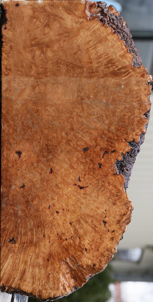 Kanista Burl Live Edge Turning Blank