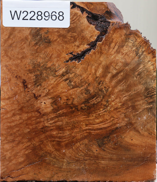 Kanista Burl Turning Blank