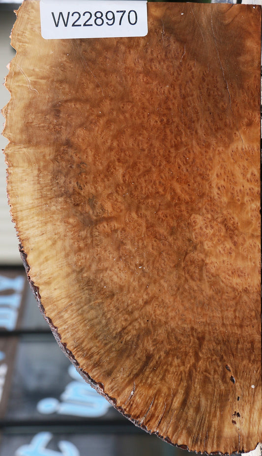 Kanista Burl Live Edge Lumber