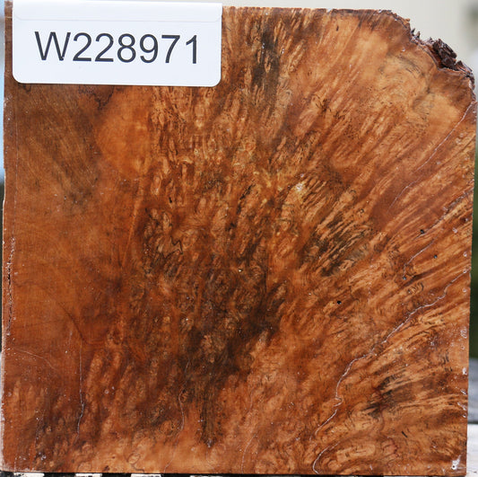 Kanista Burl Bowl Blank