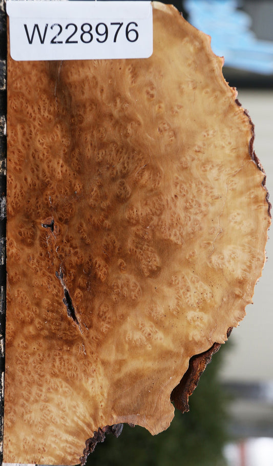 Kanista Burl Live Edge Lumber