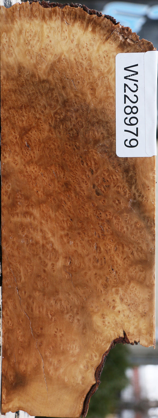 Kanista Burl Live Edge Lumber