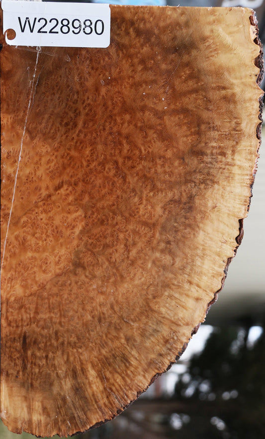 Kanista Burl Live Edge Lumber