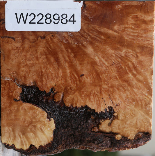 Kanista Burl Live Edge Bowl Blank