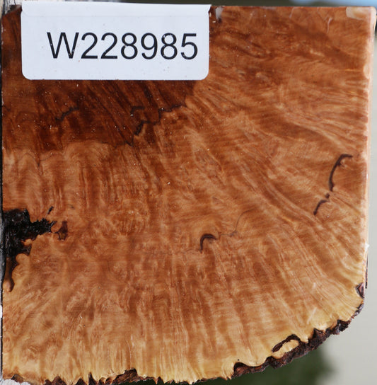 Kanista Burl Live Edge Bowl Blank