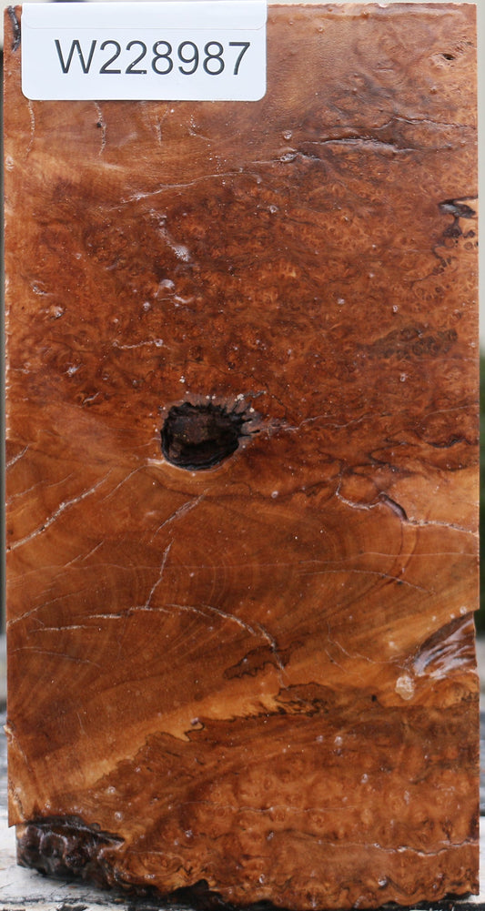 Kanista Burl Turning Blank