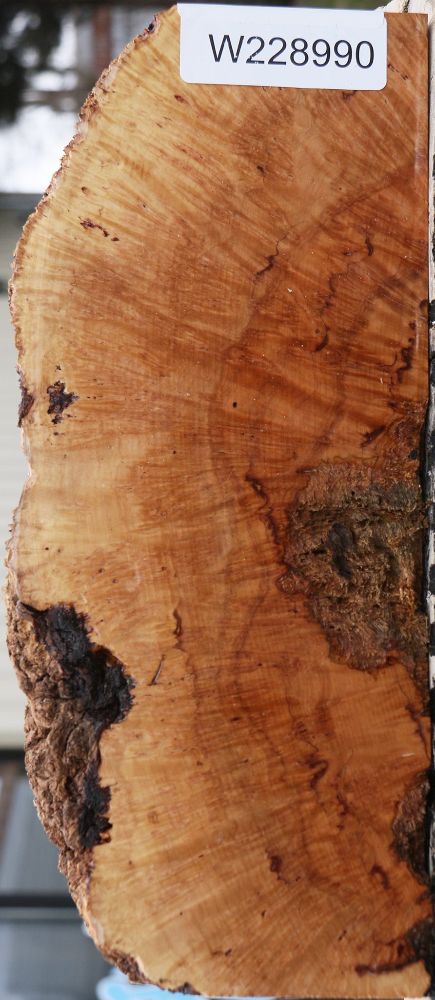 Kanista Burl Live Edge Lumber