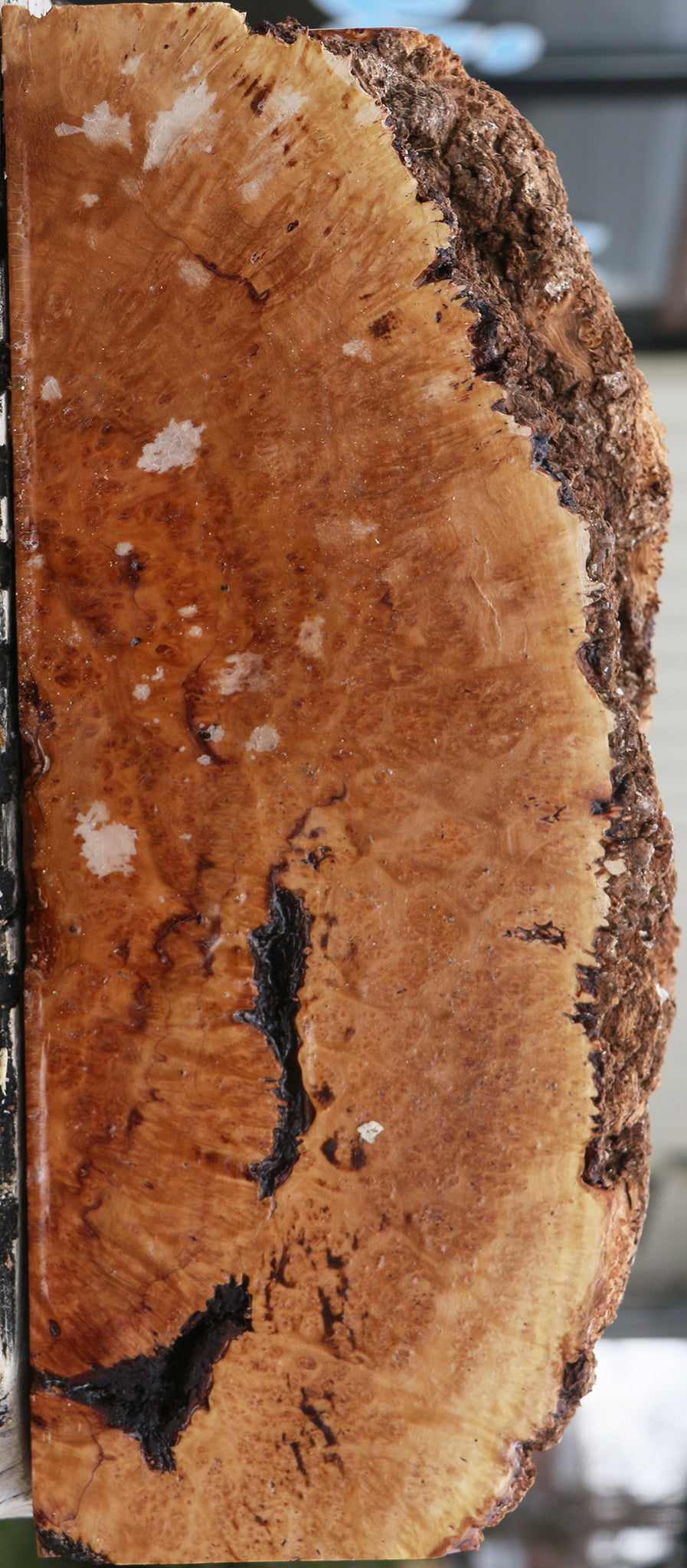 Kanista Burl Live Edge Lumber